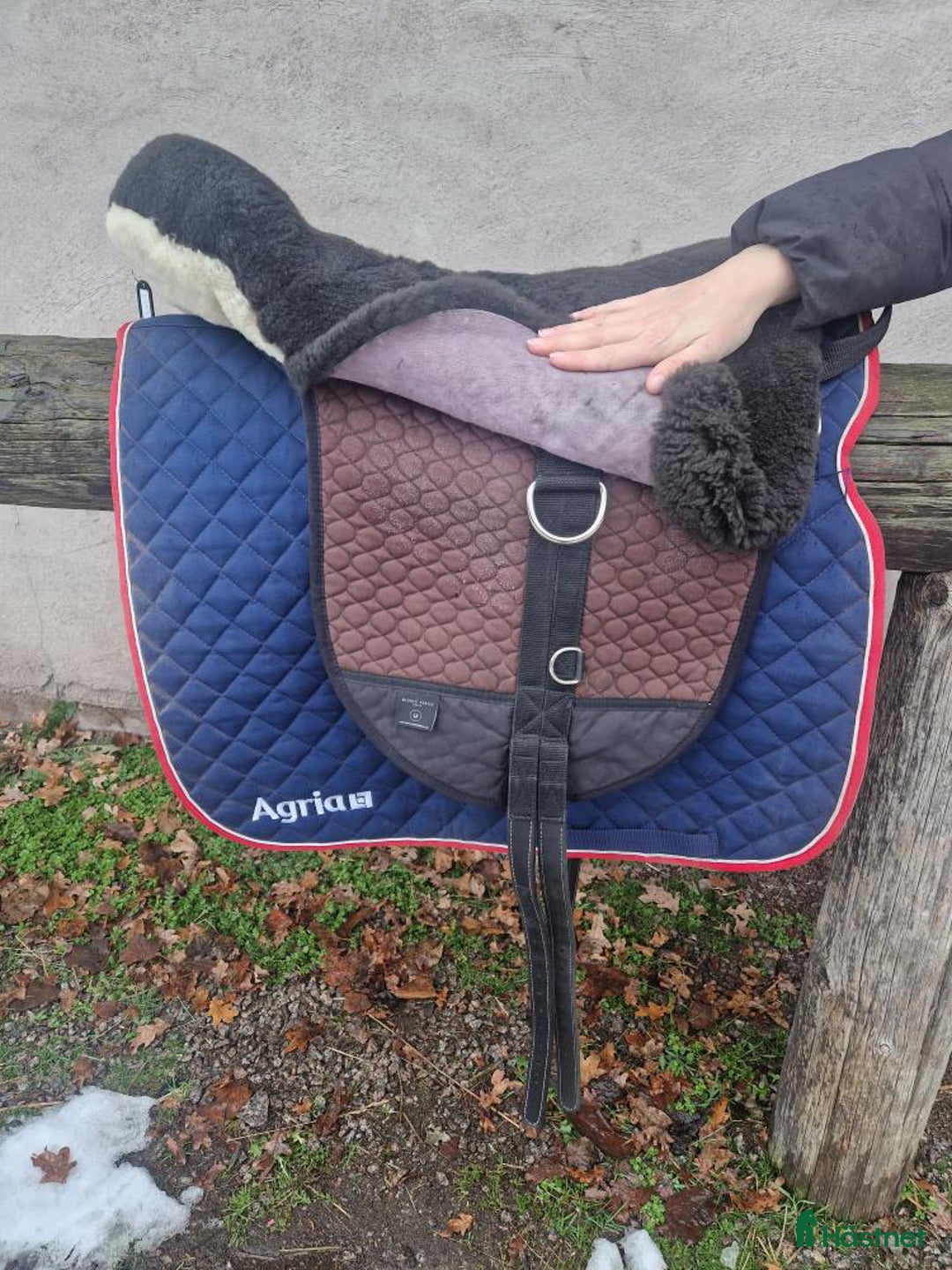 Sadlar hästutrustning till salu: Christ Basic Plus barbackasadel, fårskinn  i Kalmar - Annons 2