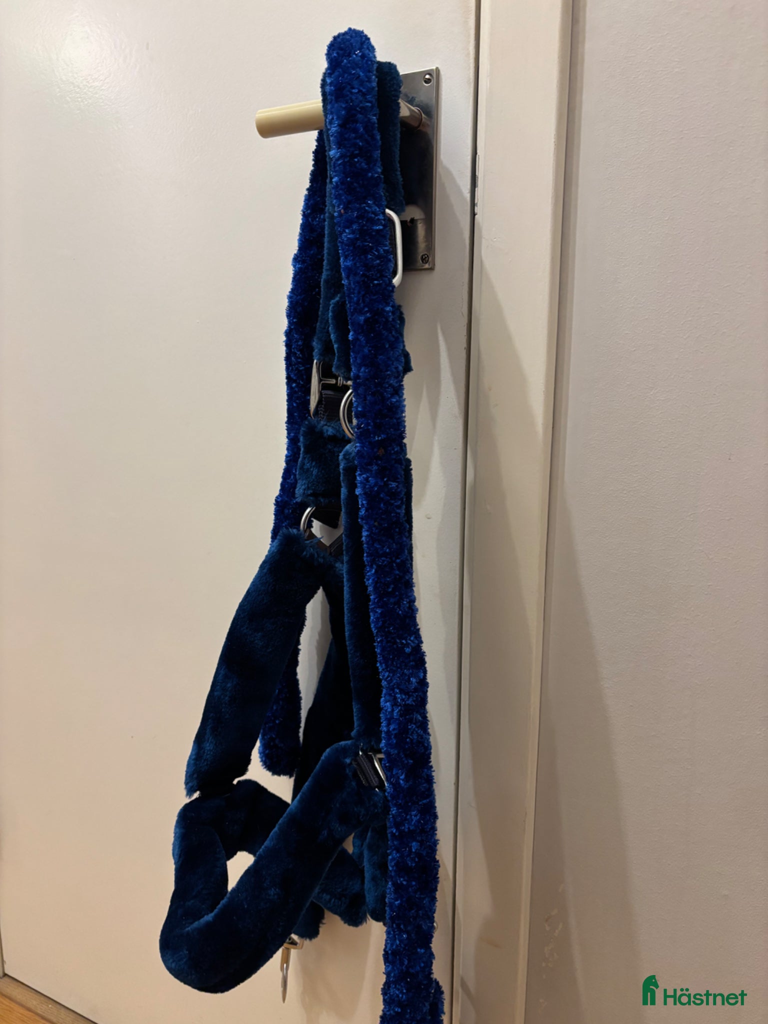 Övrig Hästutrustning hästutrustning Grimma+grimskaft - Annons 2