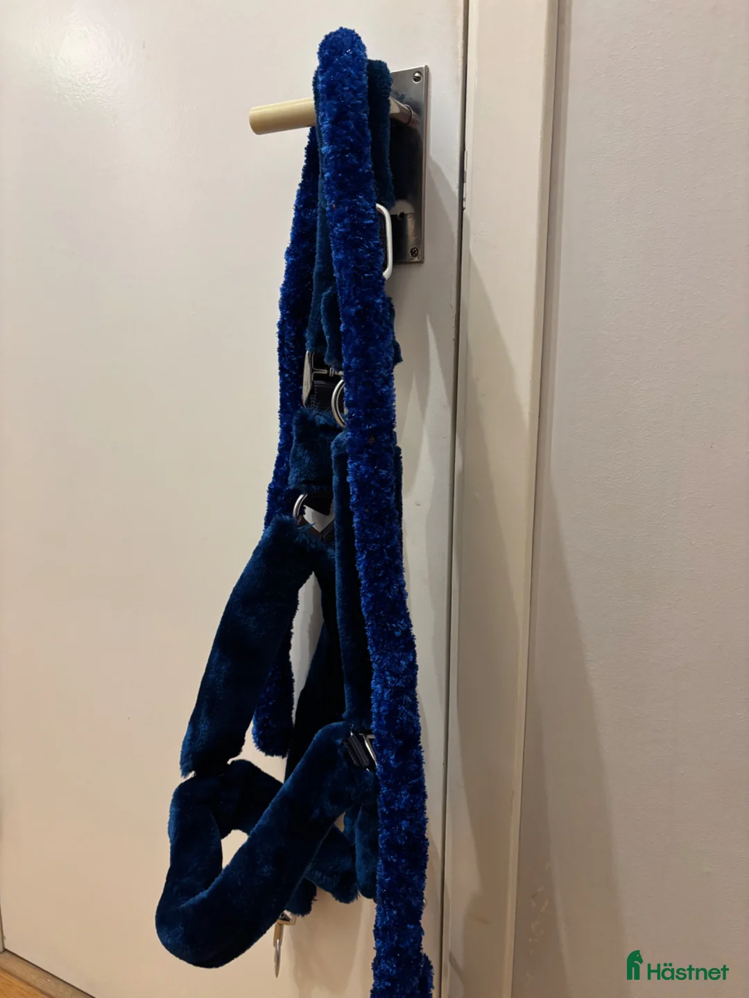 Övrig Hästutrustning hästutrustning till salu: Grimma+grimskaft - Annons 1