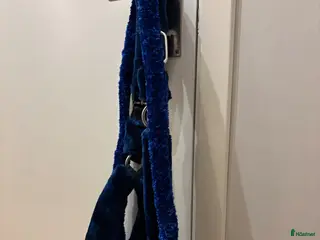 Övrig Hästutrustning hästutrustning till salu: Grimma+grimskaft - Annons 4