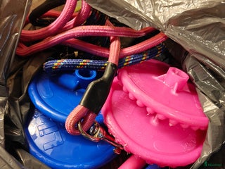 Övrig Hästutrustning hästutrustning till salu: Lik-it hållare i Skänninge - Annons 2