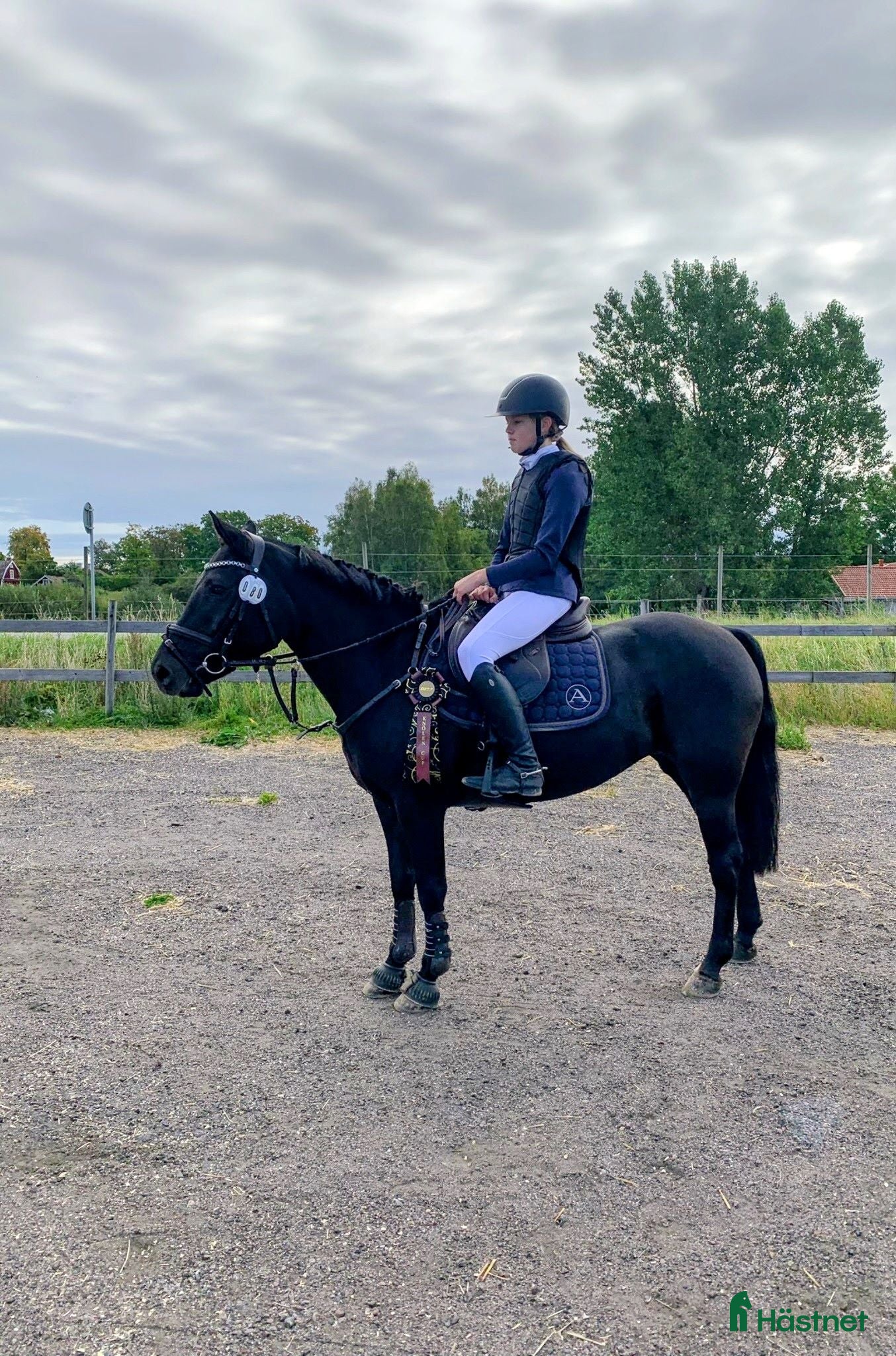 hästar Perfekt fälttävlansponny, maxad C - Annons 12