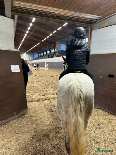 Galleribild {{count}}