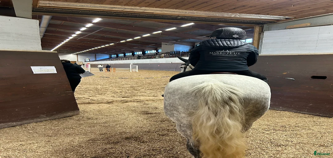 Galleribild {{count}}