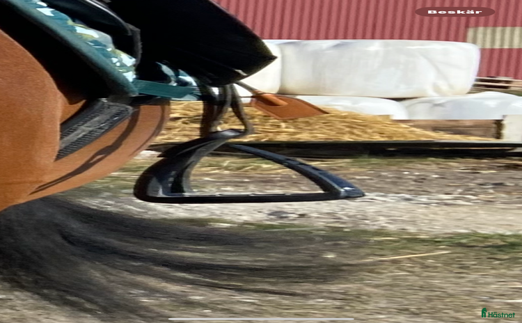 Stigbyglar hästutrustning till salu i Trelleborg - Annons 38