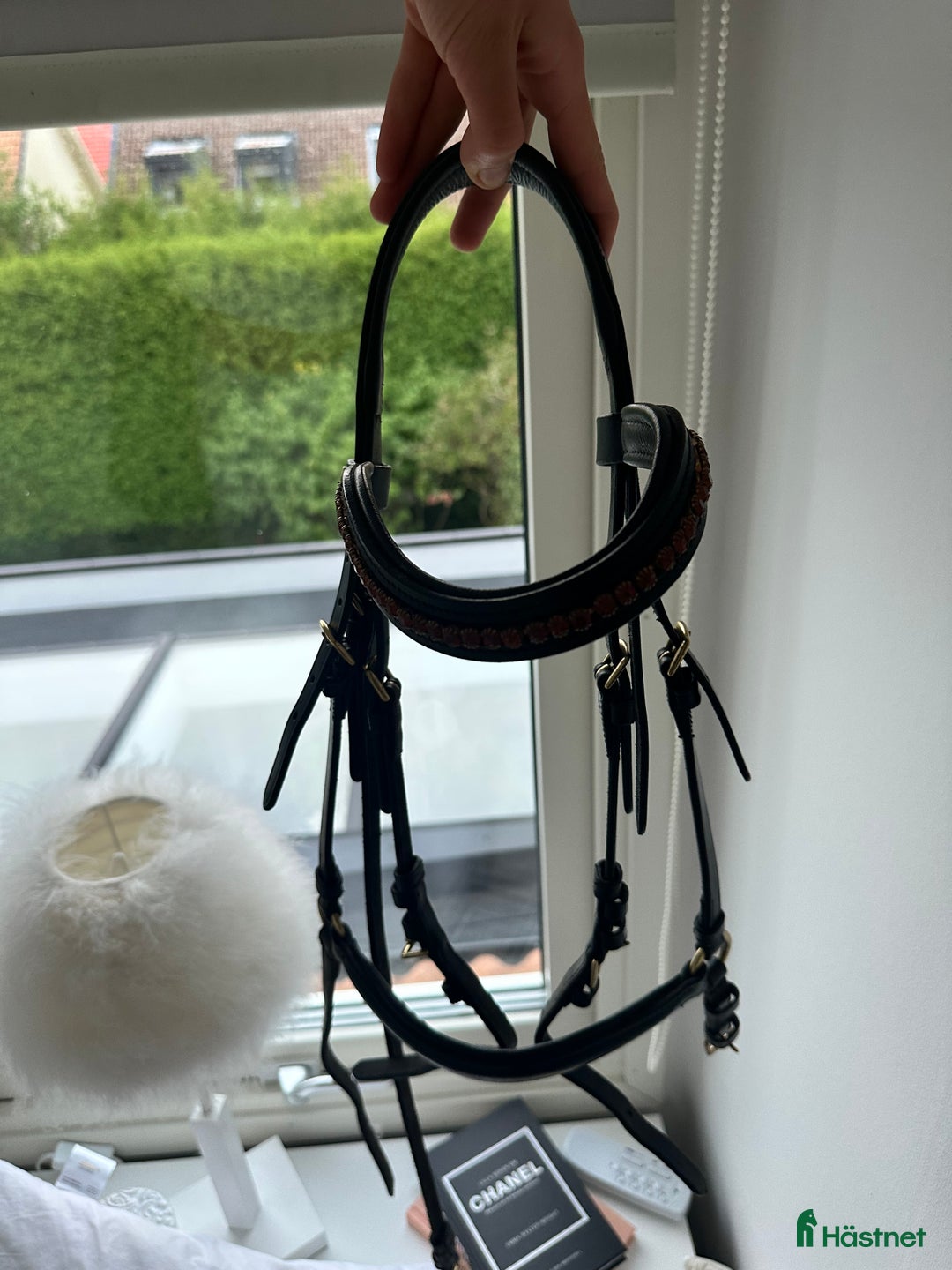 Träns hästutrustning till salu: Träns  i Lidköping - Annons 2