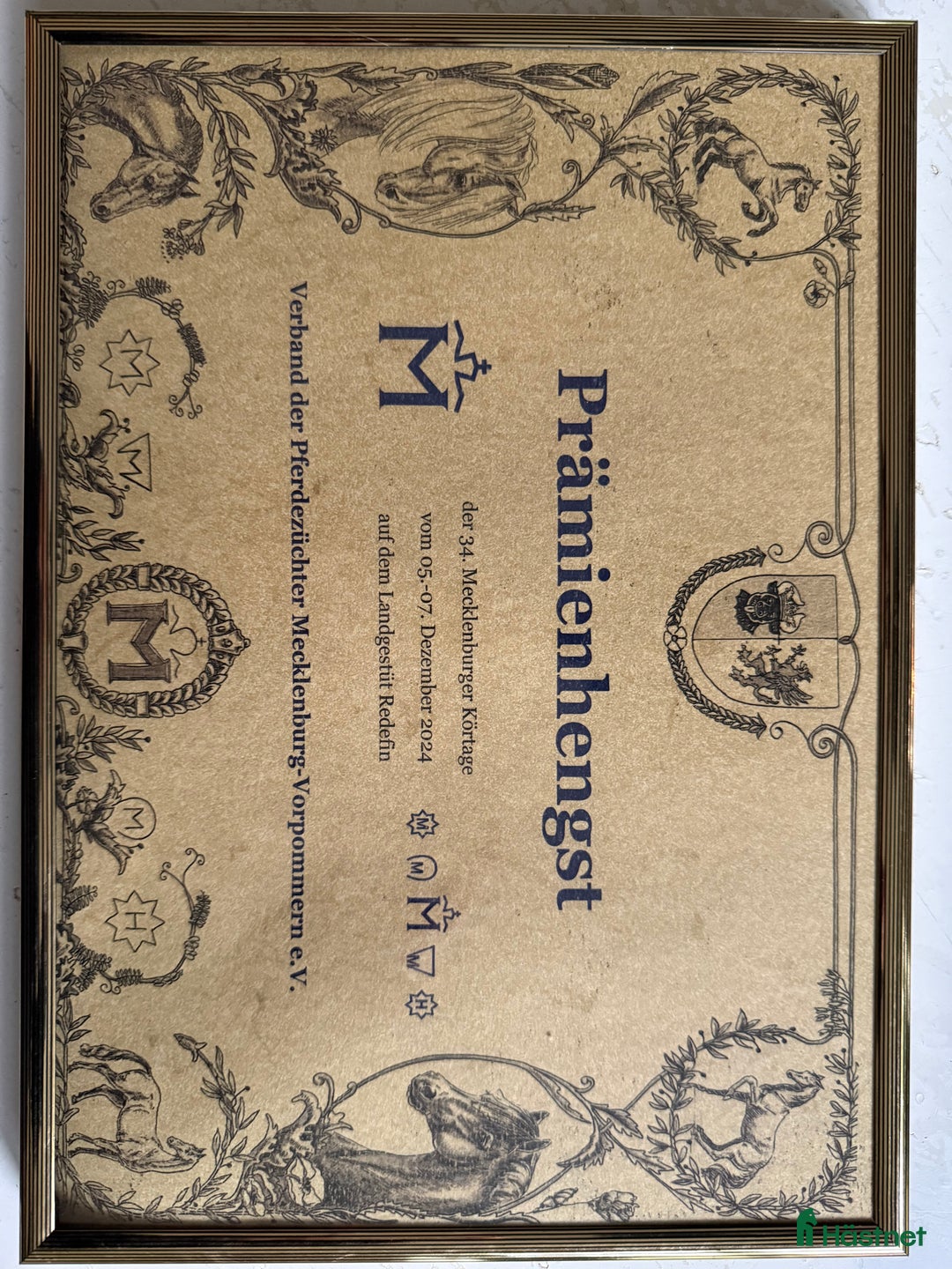 Allround hästar till salu: Unik 3 års hingst (kan bli valack) i Genarp - Annons 6