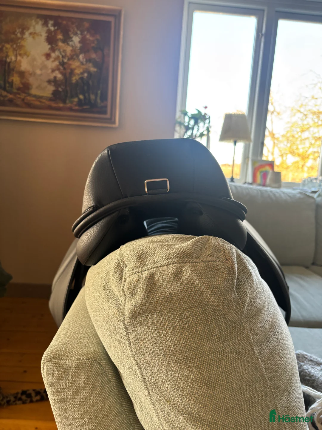 Sadlar hästutrustning till salu: Norton PRO ponnysadel - Annons 2