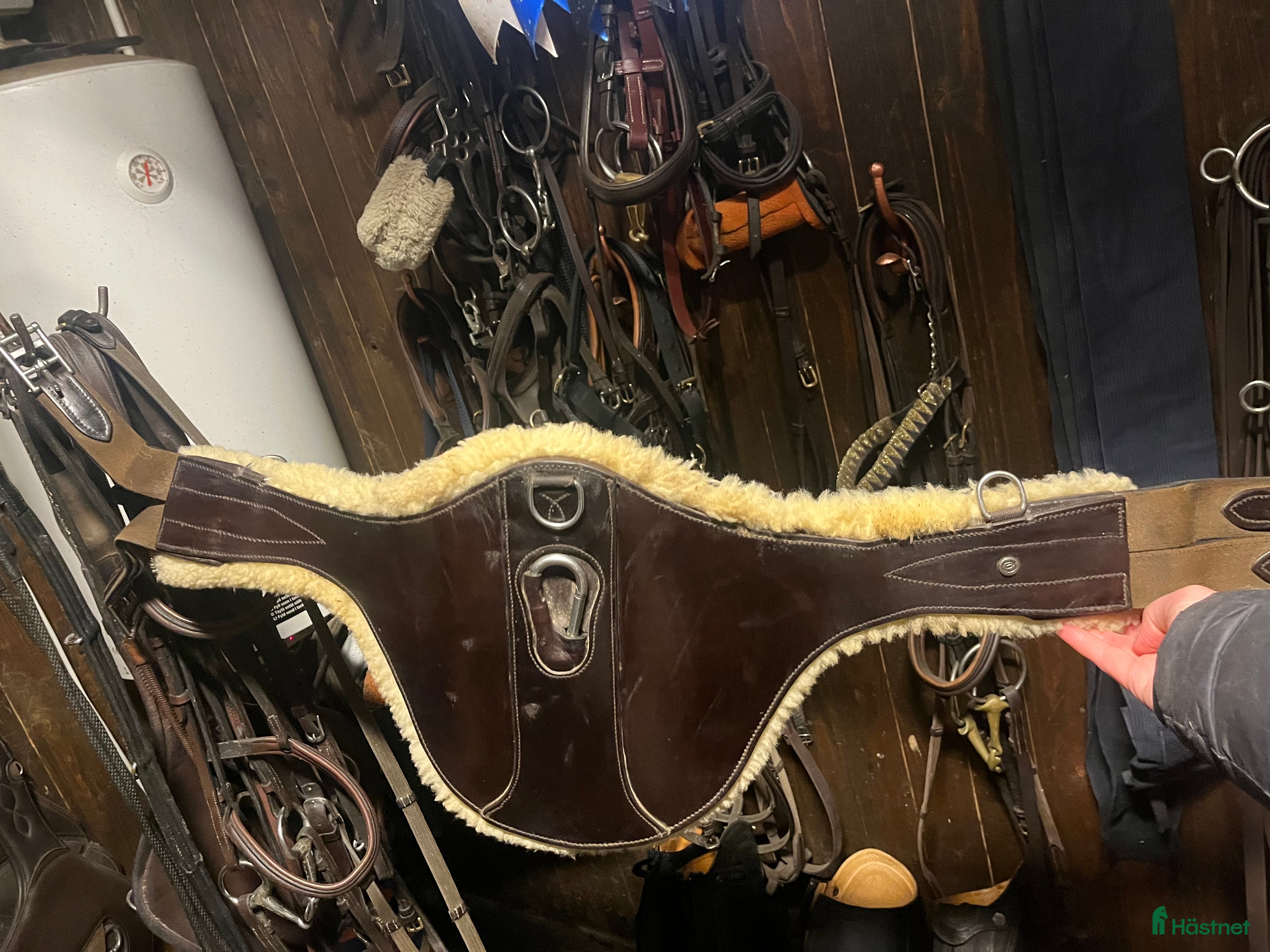 Sadeltillbehör hästutrustning Fluff magplatta 110 i Värends Nöbbele - Annons 11