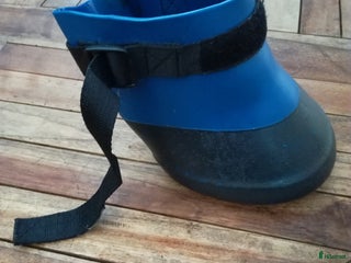 Övrig Hästutrustning hästutrustning till salu i Västra Frölunda - Annons 32