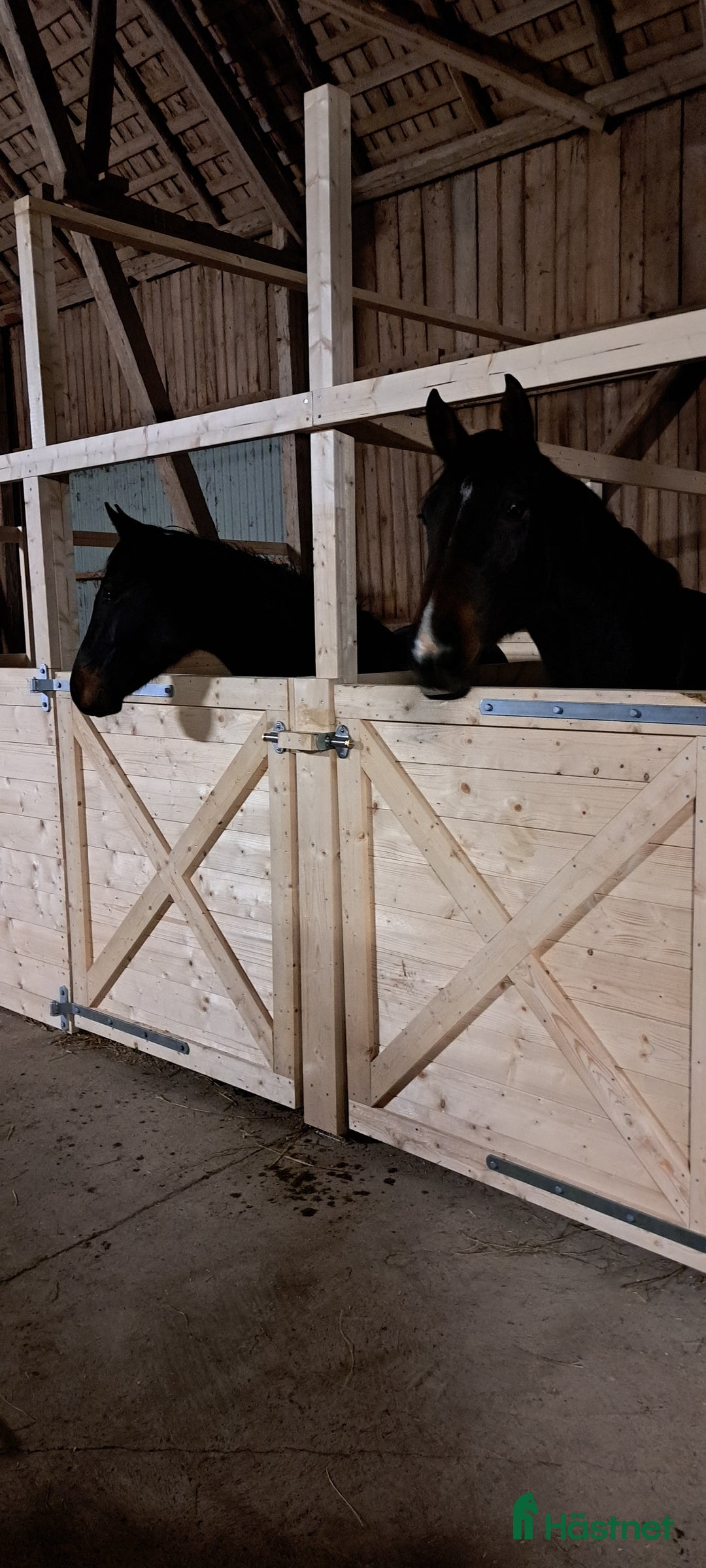  stallplats finnes: Stallplats/lösdrift/ helinackordering i Lidköping - Annons 3