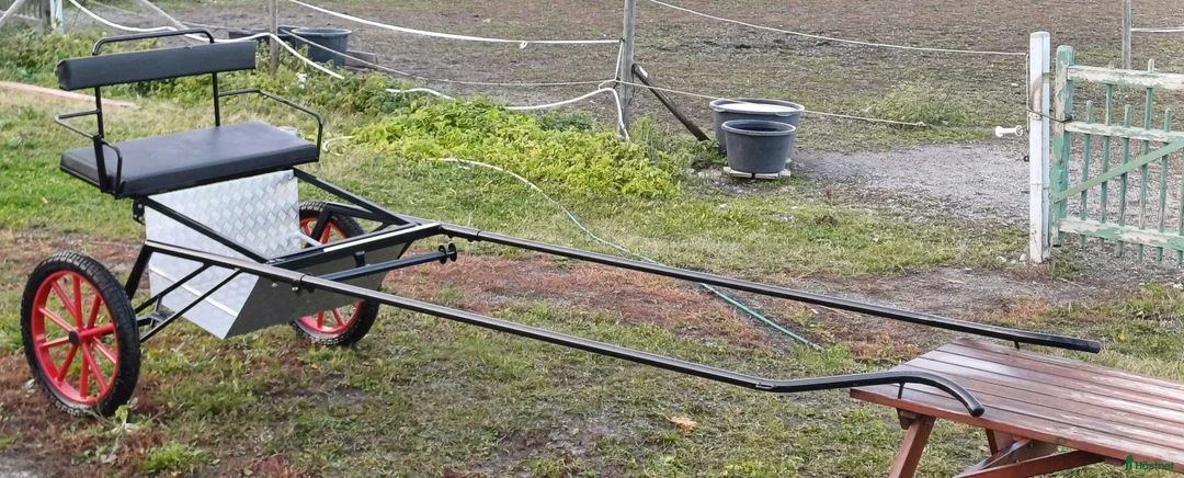 Körvagnar körning till salu: Rockard i Uppsala - Annons 4