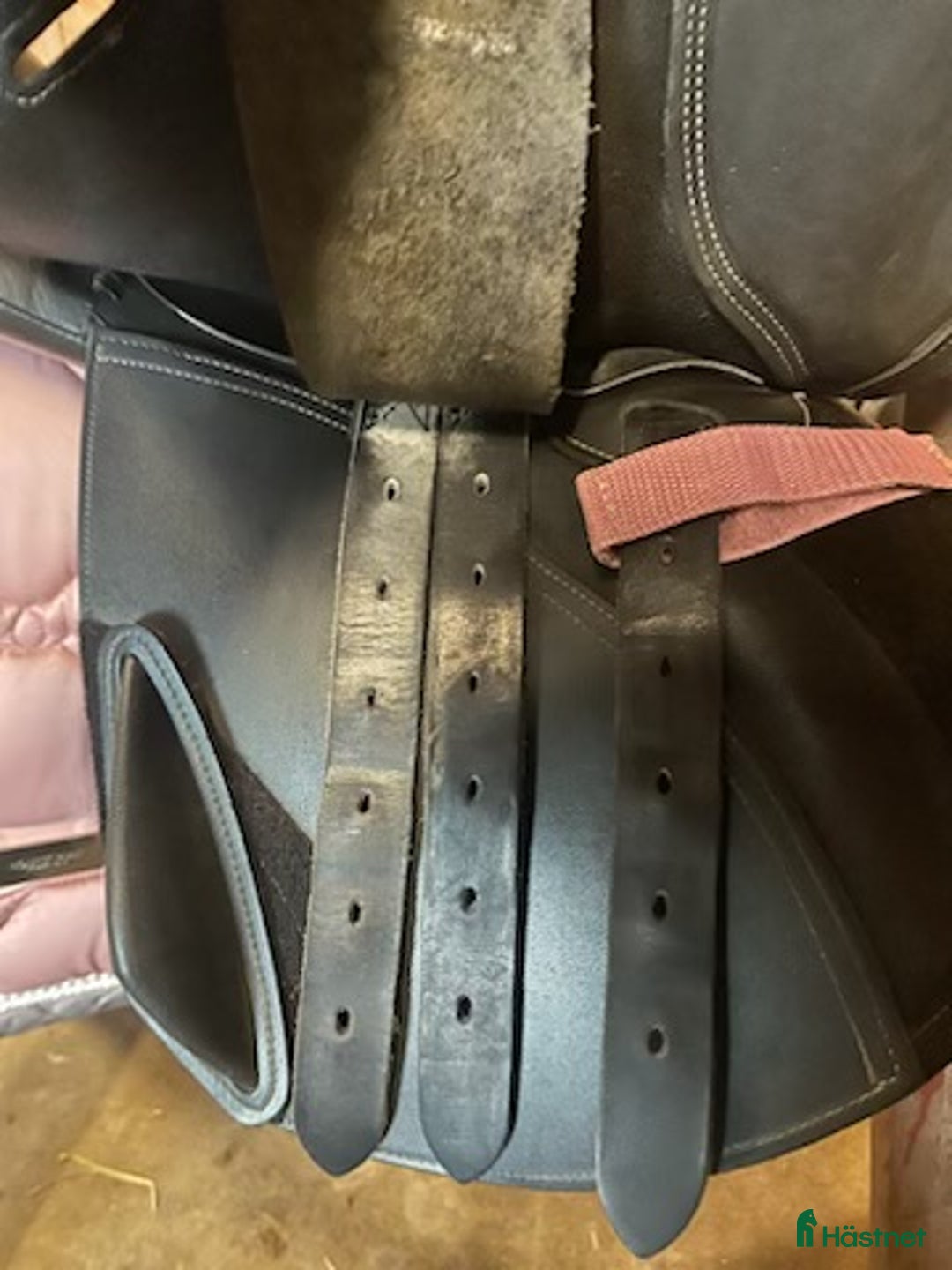 Sadlar hästutrustning till salu: Lippo Rivello Ezperanza ~ komplett  i Ballingslöv - Annons 5