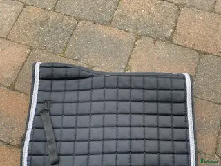 Schabrak & Vojlockar hästutrustning Oanvänt sharpman schabrak!😊 - Annons 20