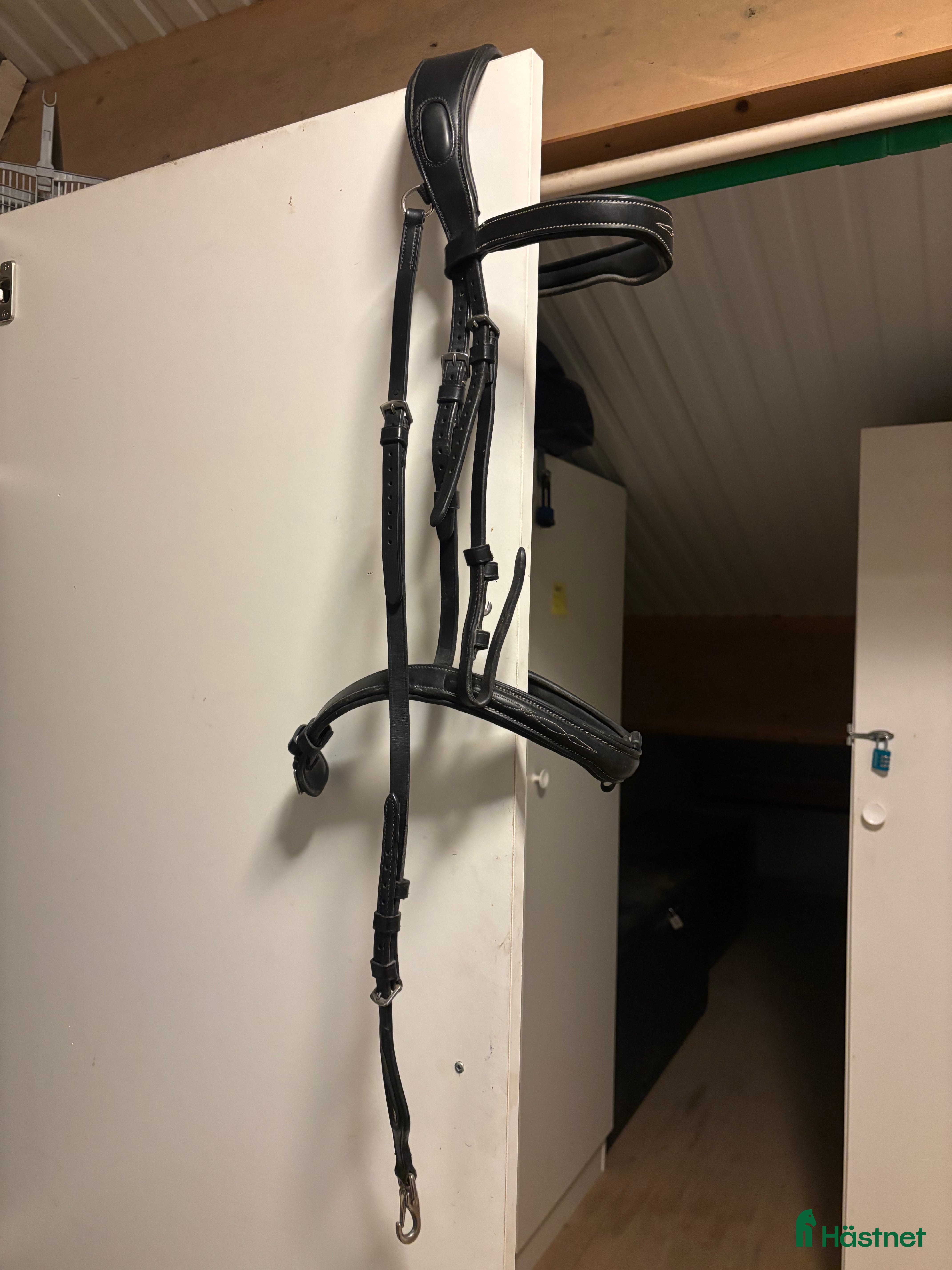 Träns hästutrustning till salu: Equiline träns  i Saltsjö-Boo - Annons 24