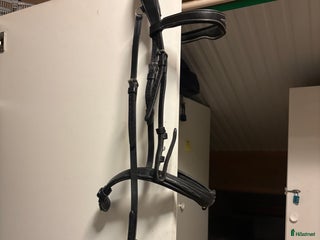 Träns hästutrustning till salu: Equiline träns i Saltsjö-Boo - Annons 3