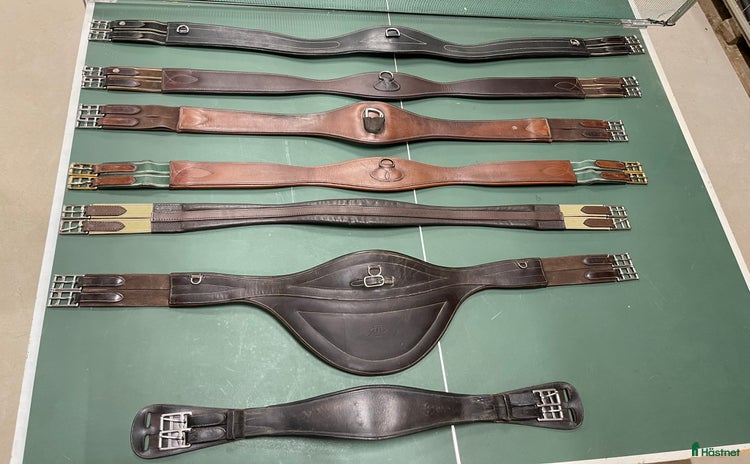 Sadeltillbehör hästutrustning till salu i Staffanstorp - Annons 13