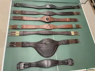 Sadeltillbehör hästutrustning till salu: Diverse sadelgjordar i Staffanstorp - Annons 3