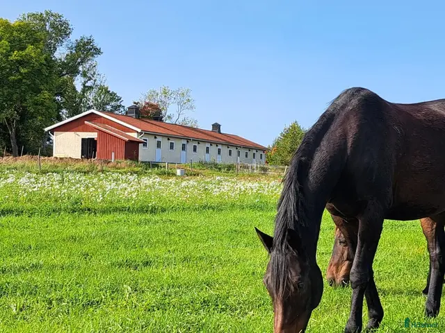 stallplats finnes: Stall Berga gård 17 km från Brommaplan - Annons 1