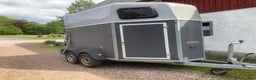 Hästtransporter  fordon & transport till salu: Böckmann Duo , gör det själv släp!  i Munka-ljungby - Annons 1