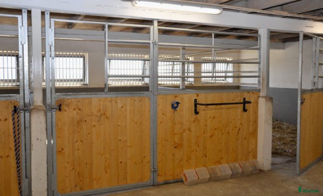  stallplats finnes: Stallplats, hästbox i Bjärred Lilla Bennickan i Bjärred - Annons 6