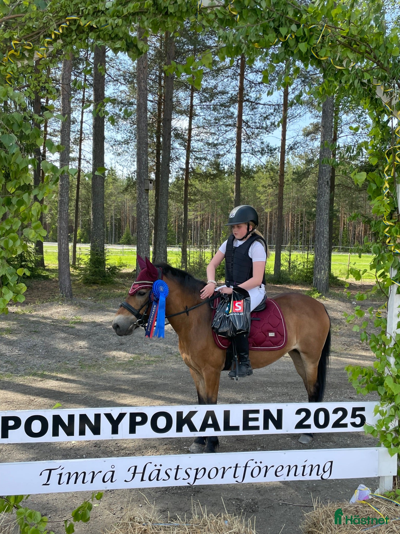  hästar B ponny med hjärta av guld. - Annons 1