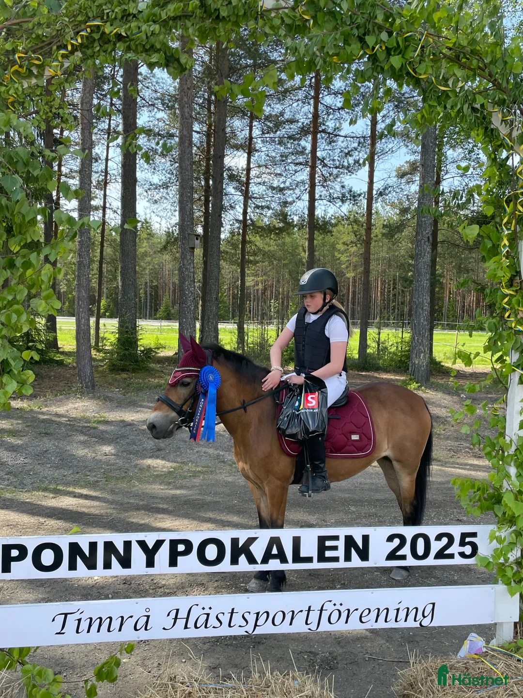 Allround hästar till salu: B ponny med hjärta av guld. - Annons 1