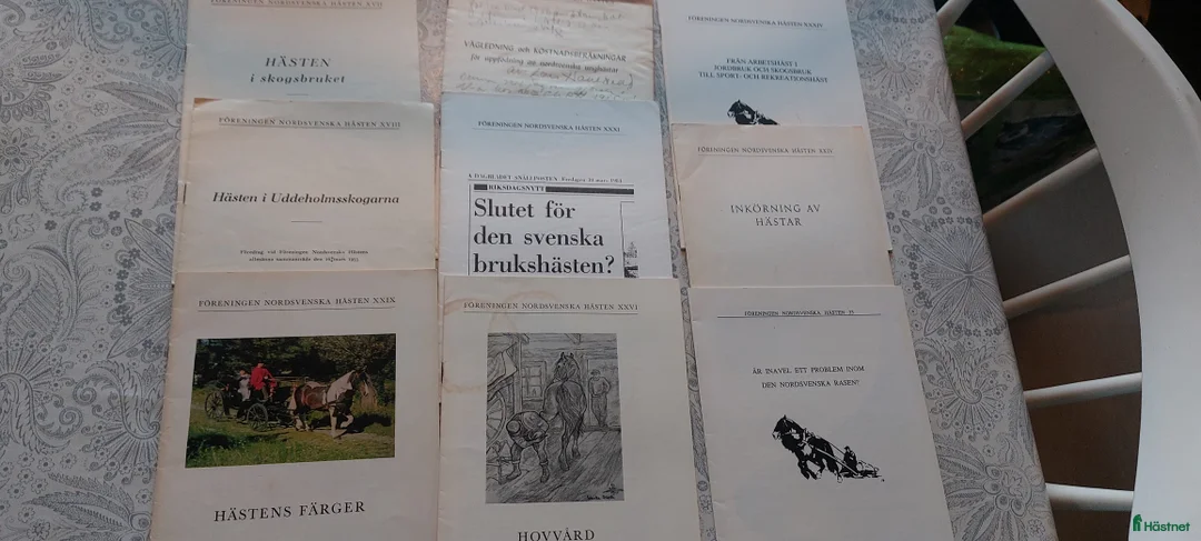 Övrig utrustning övrig utrustning till salu: Nordsvenska stamböcker m.m - Annons 2