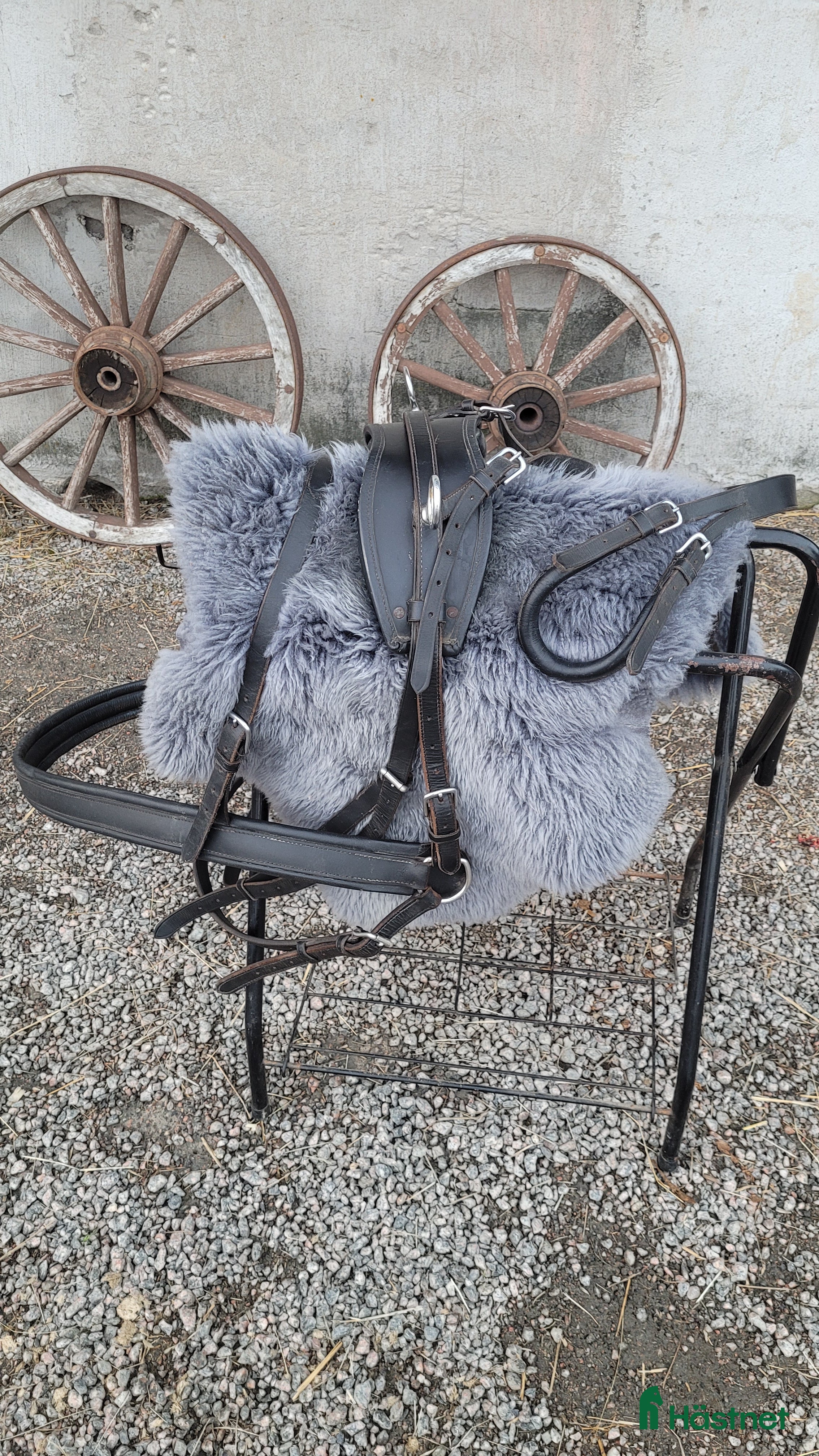 Körselar körning till salu: Bröstsele stl.F - Annons 1