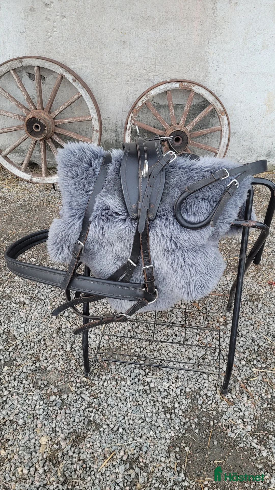 Körselar körning till salu: Bröstsele stl.F - Annons 1