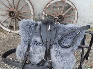 Körselar körning till salu: Bröstsele stl.F - Annons 1