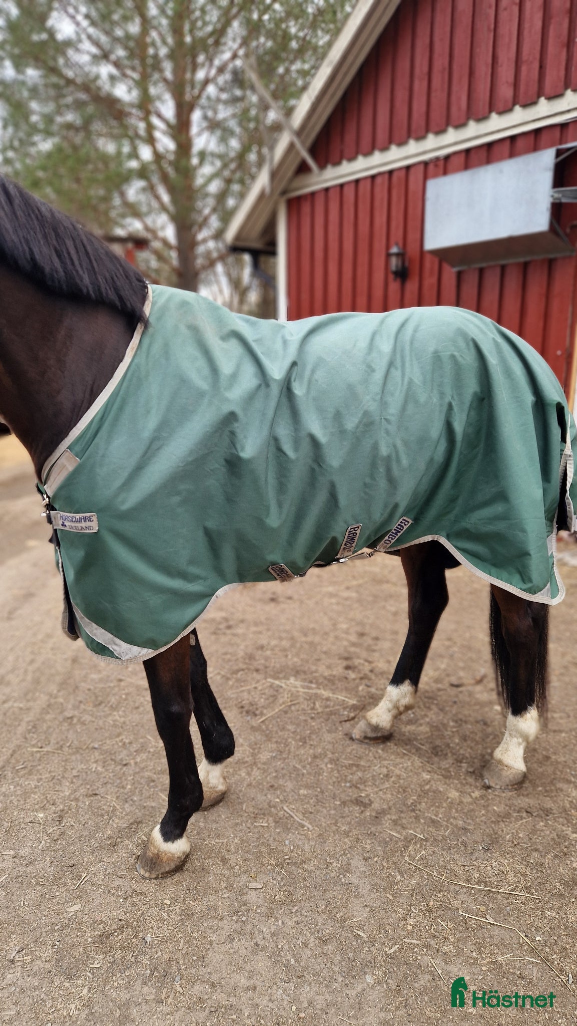 Täcken hästutrustning Rambo original regntäcke med V-FRONT 0g - Annons 18