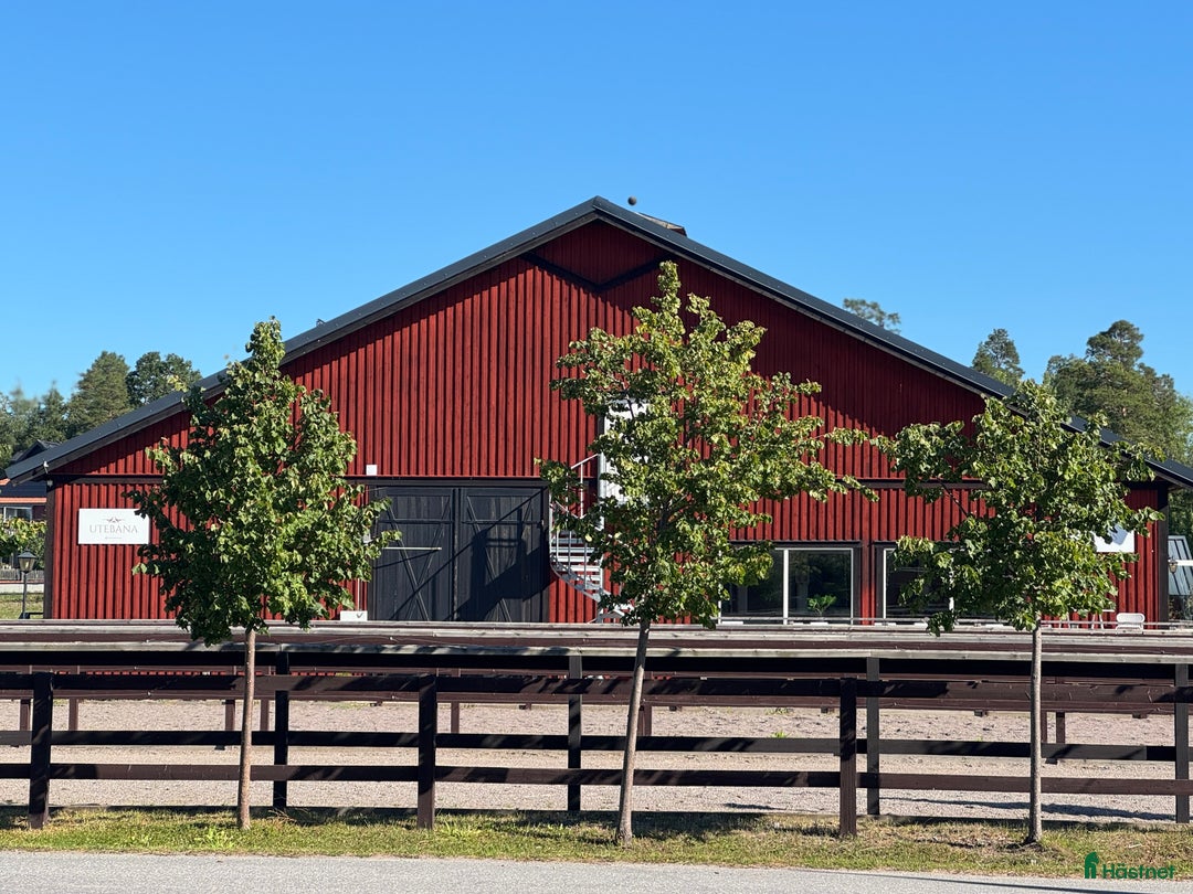  stallplats finnes: Ledig stallplats i höst på Stall Fågelbro! i Värmdö - Annons 3