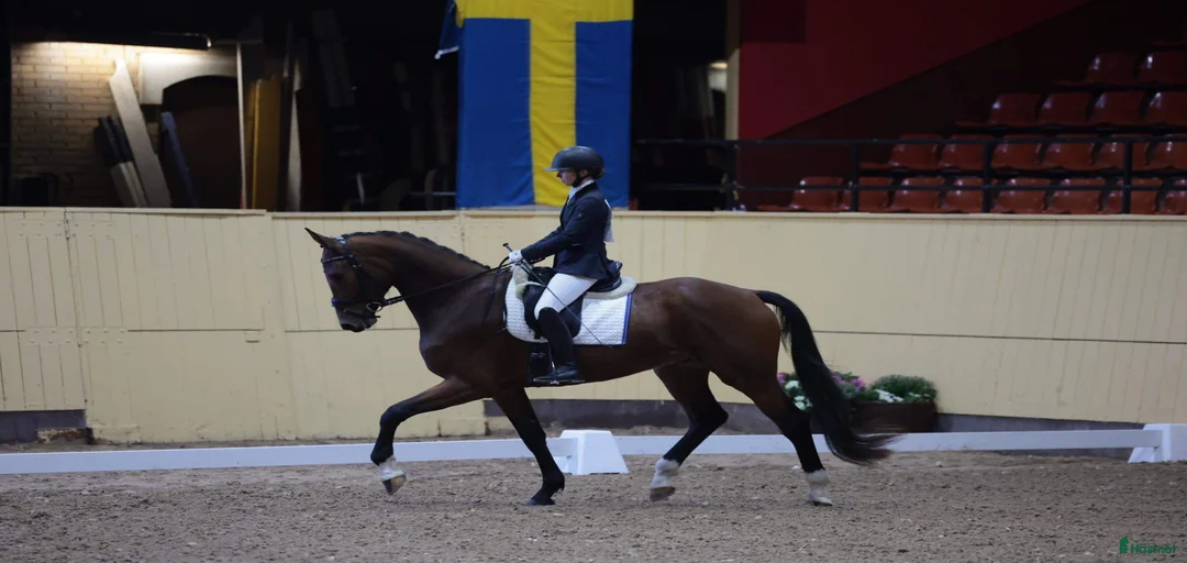 Galleribild {{count}}