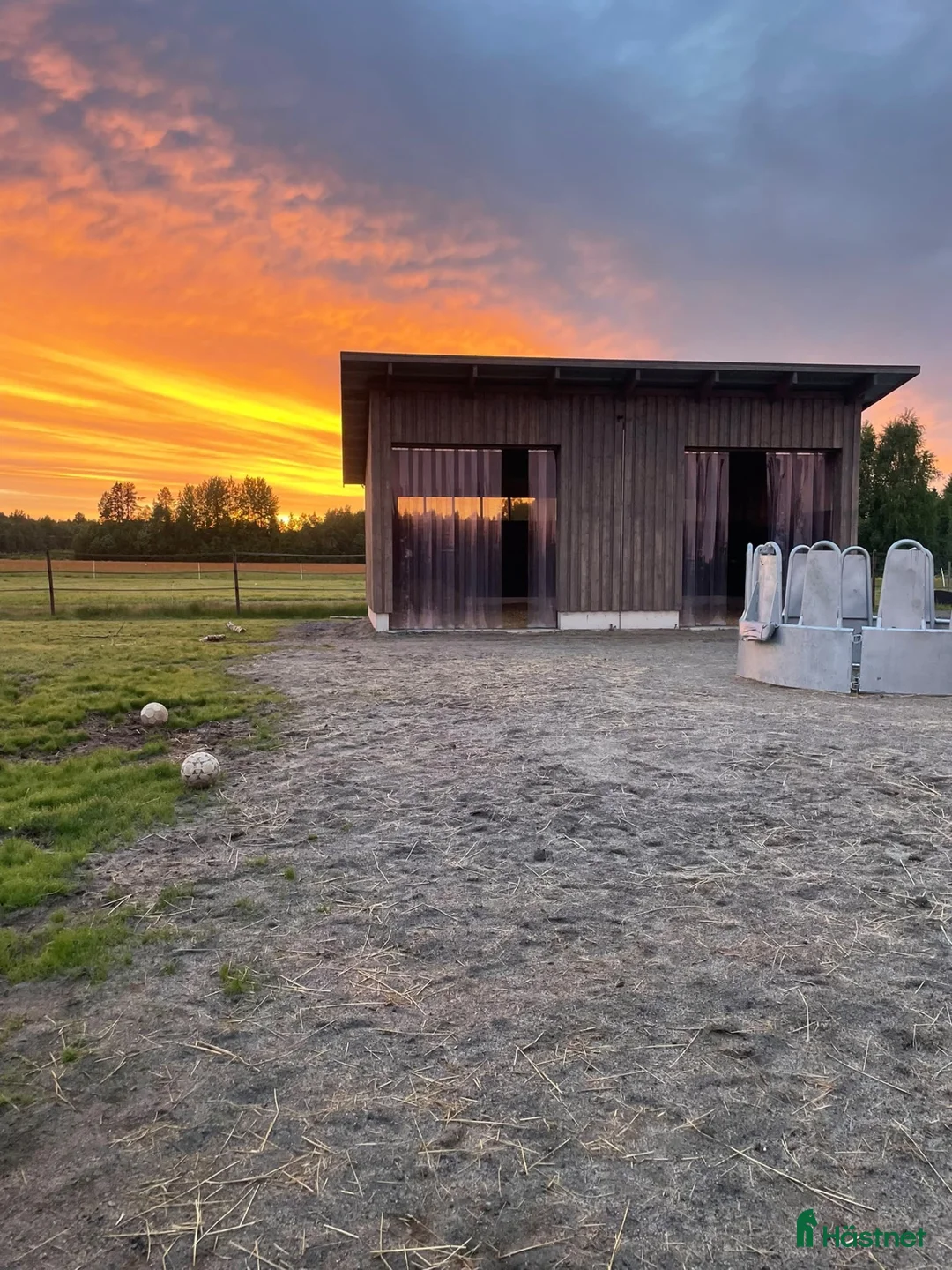  stallplats finnes: Lösdriftsplats i Innertavle/Umeå - Annons 1