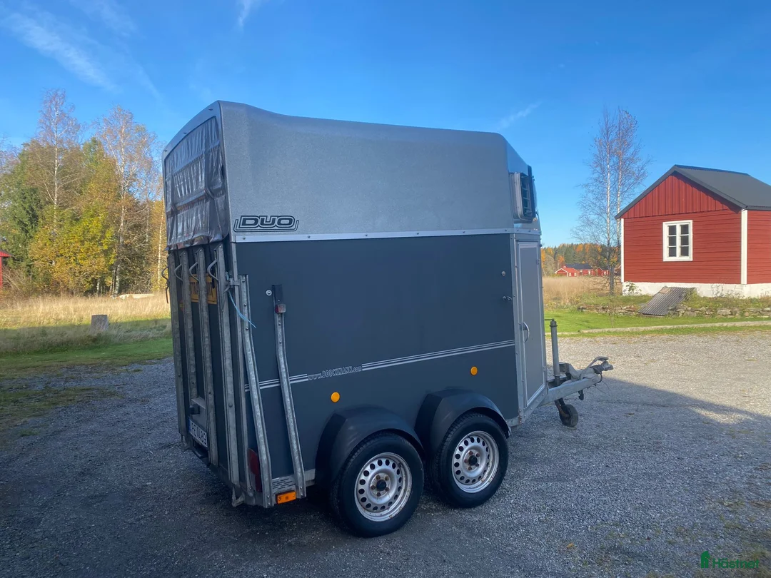 Hästtransporter  fordon & transport till salu: Böckmann Duo Hästtransport - Annons 4