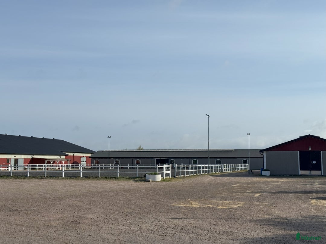  stallplats finnes: Stallplats i Båstad i Båstad - Annons 6