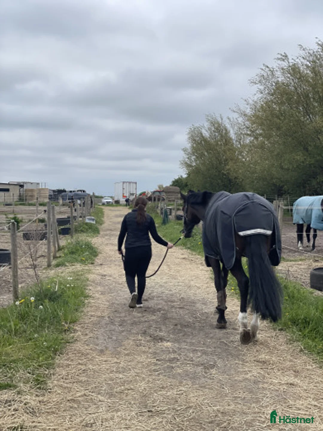  hästjobb finnes: Söker Extrajobb — Sommarjobb - Annons 3