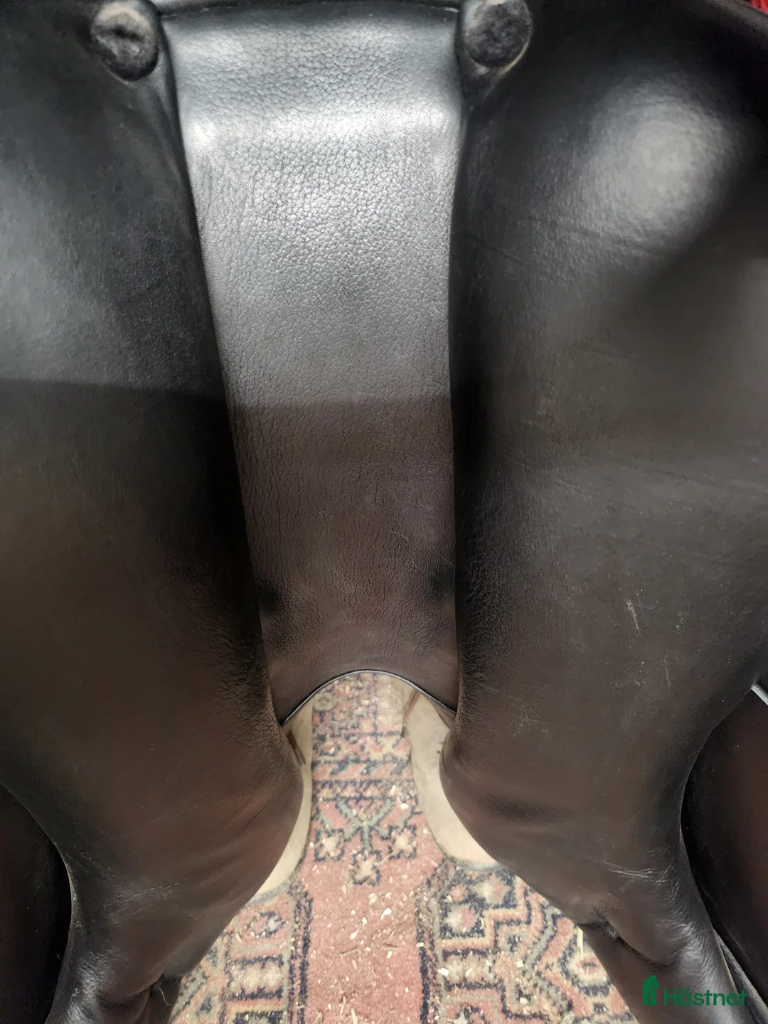 Sadlar hästutrustning till salu: Prestige Roma i Gantofta - Annons 7