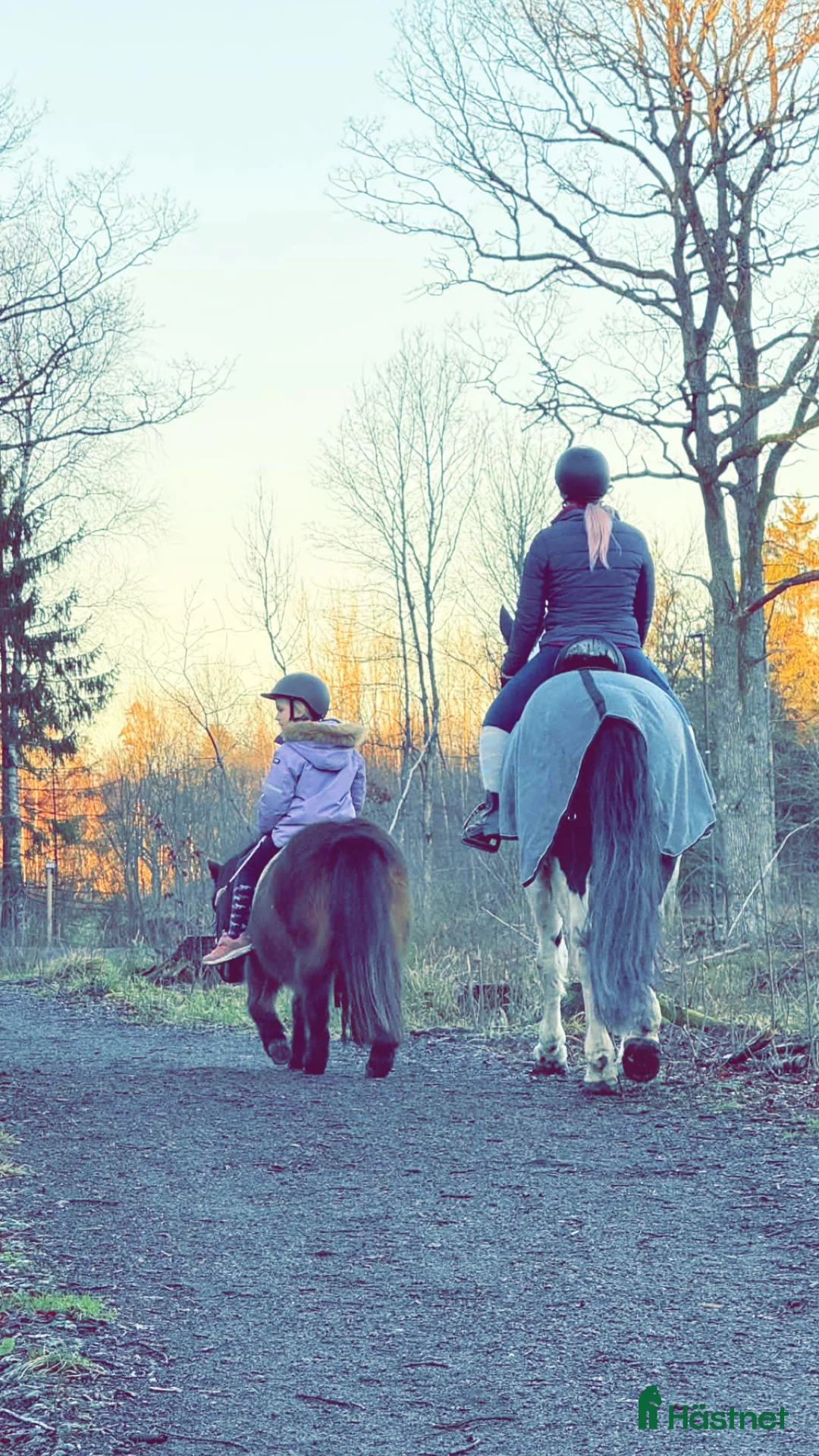 Galleribild {{count}}