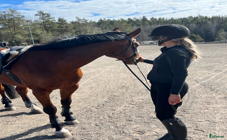  hästjobb i Vallentuna - Annons 13