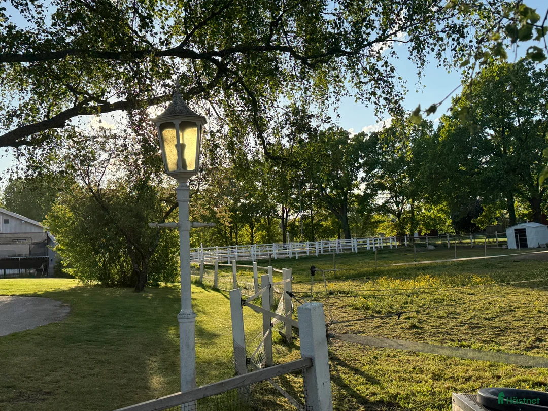  stallplats finnes: Stallplats fång känslig ponny /shettis ev häst - Annons 1