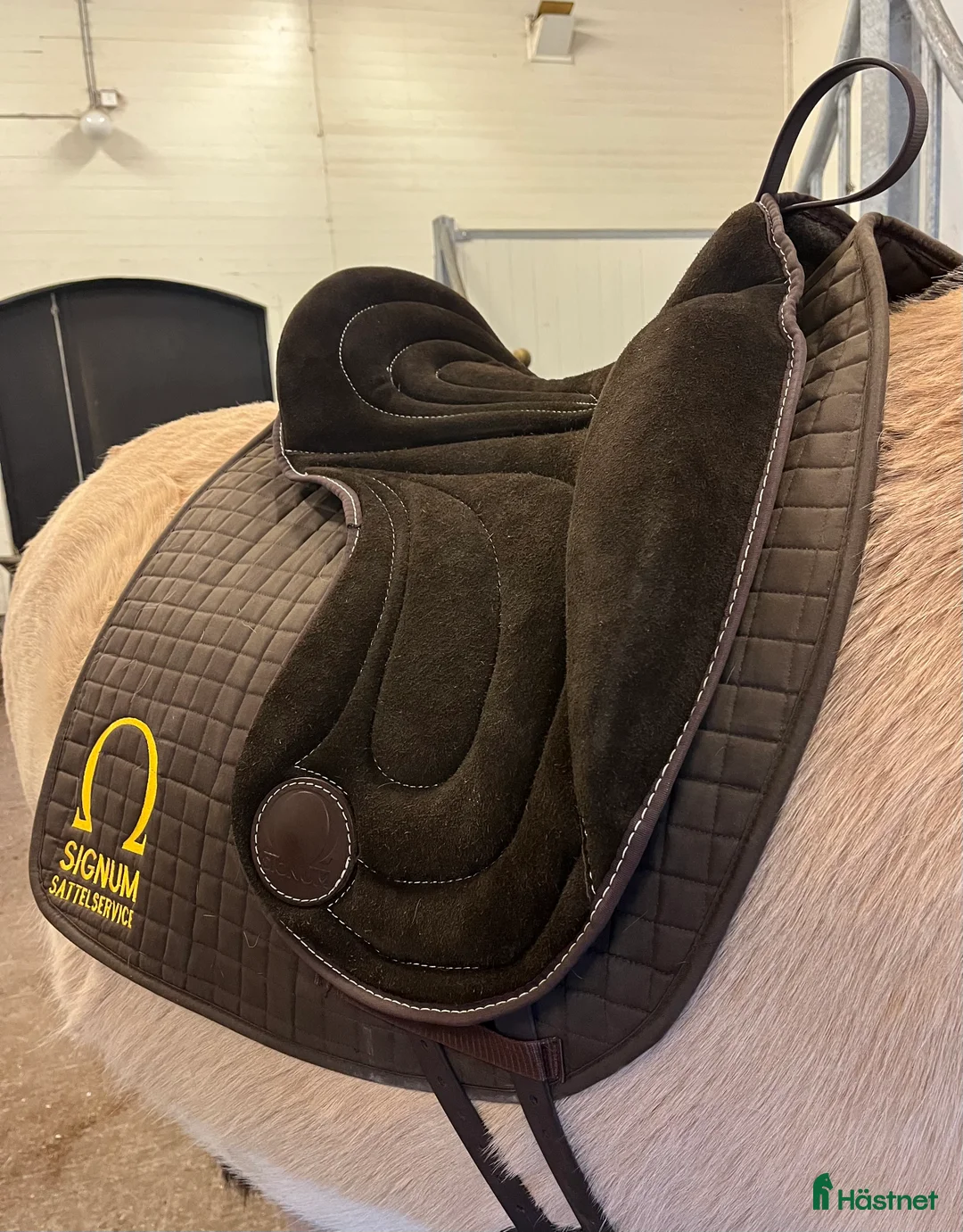 Sadlar hästutrustning till salu: Signum Omega L mörkbrun  - Annons 2