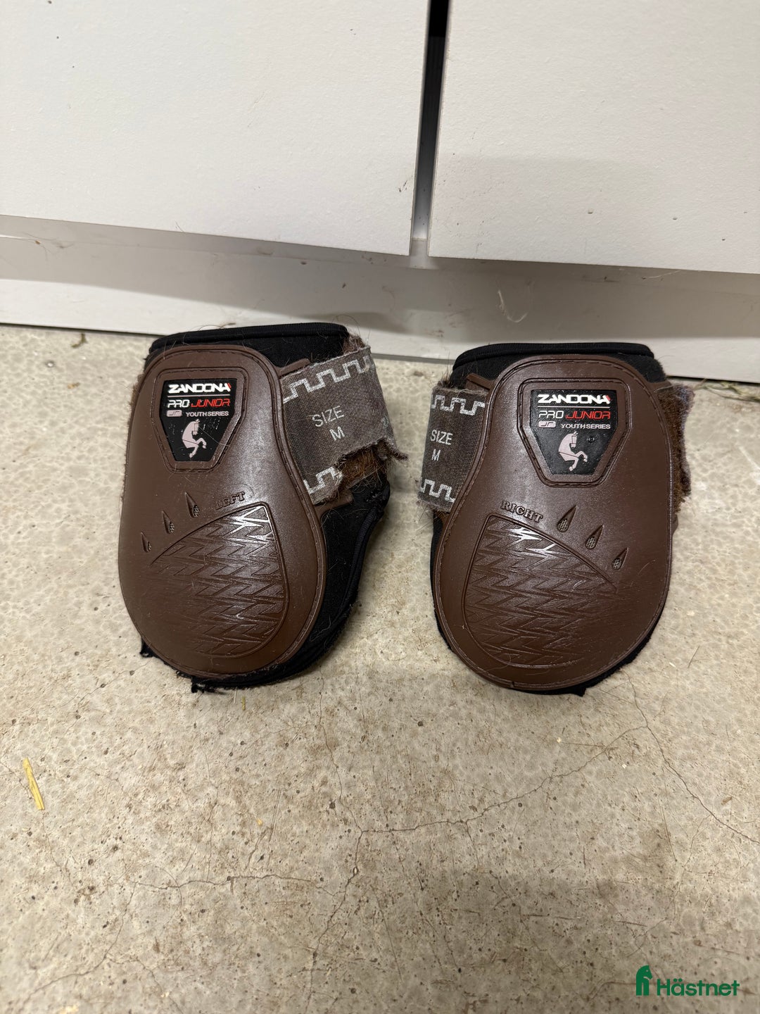 Benskydd hästutrustning till salu: Zandona bakskydd i Edsbruk - Annons 1