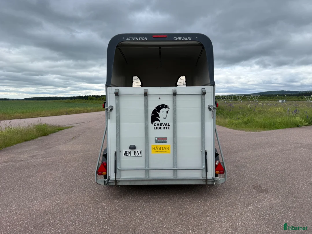 Hästtransporter  fordon & transport till salu: Chval Gold2 -14 - Annons 4