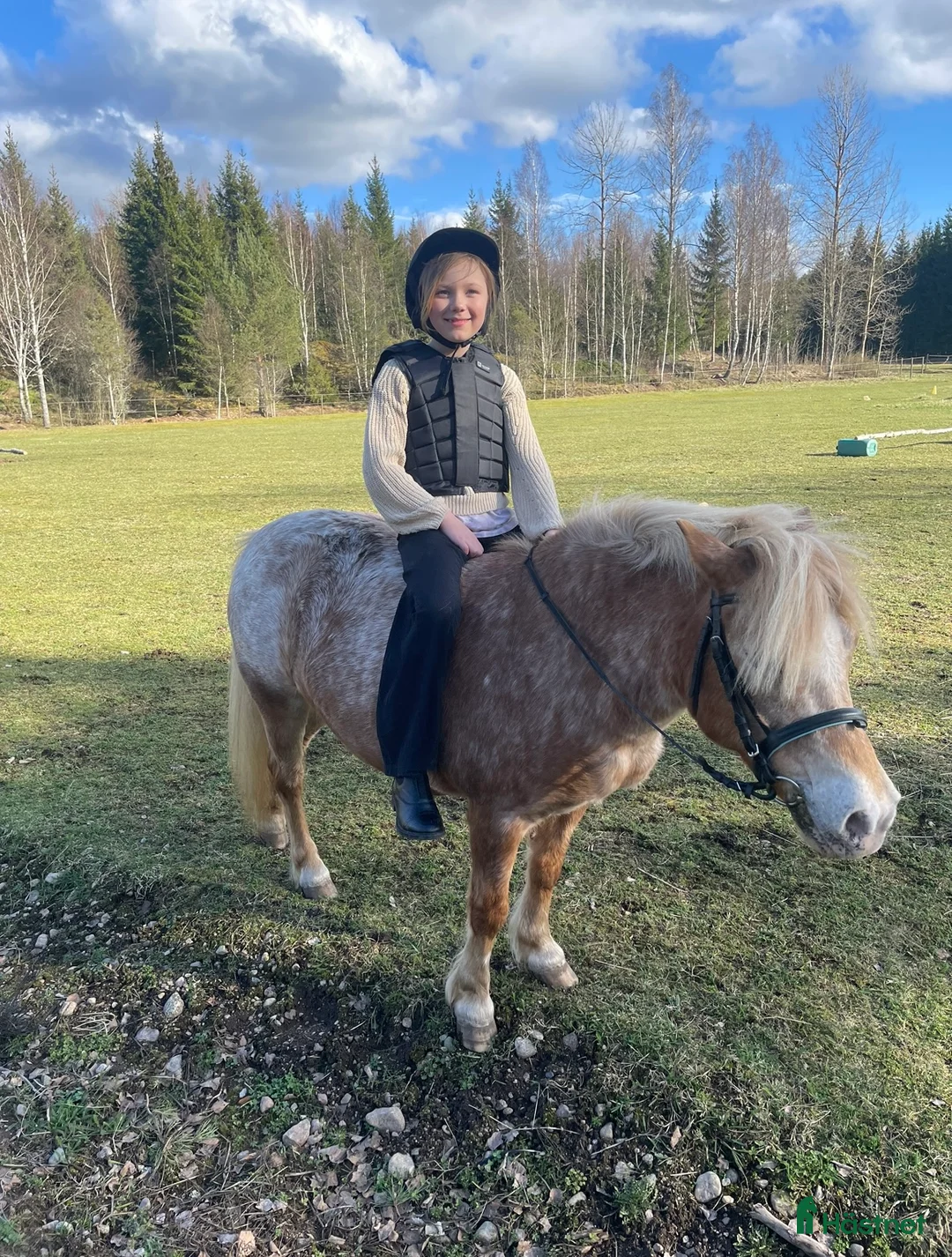 Övrigt hästar till salu: Mysigaste ponnyn - Annons 1
