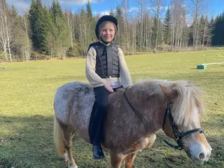 hästar Mysigaste ponnyn - Annons 11