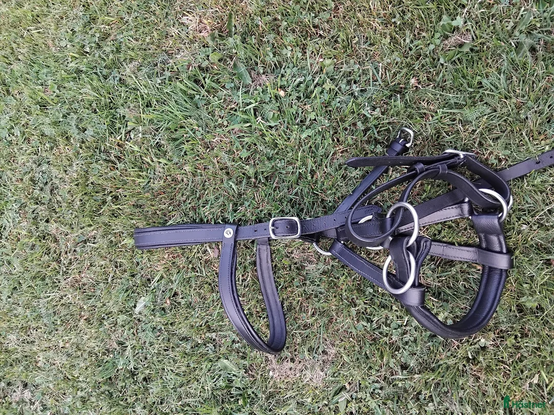 Träns hästutrustning till salu: Sidepull cob - Annons 3
