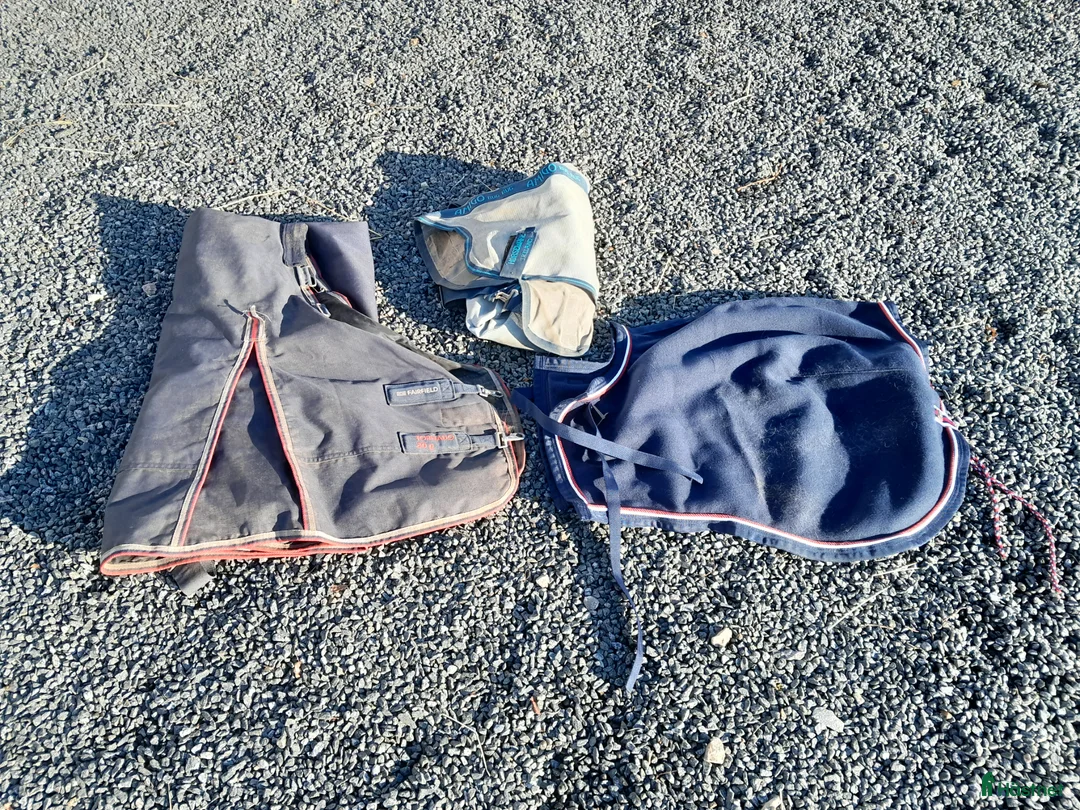 Täcken hästutrustning till salu: Täcken: Eksem, regn och vinter - Annons 5