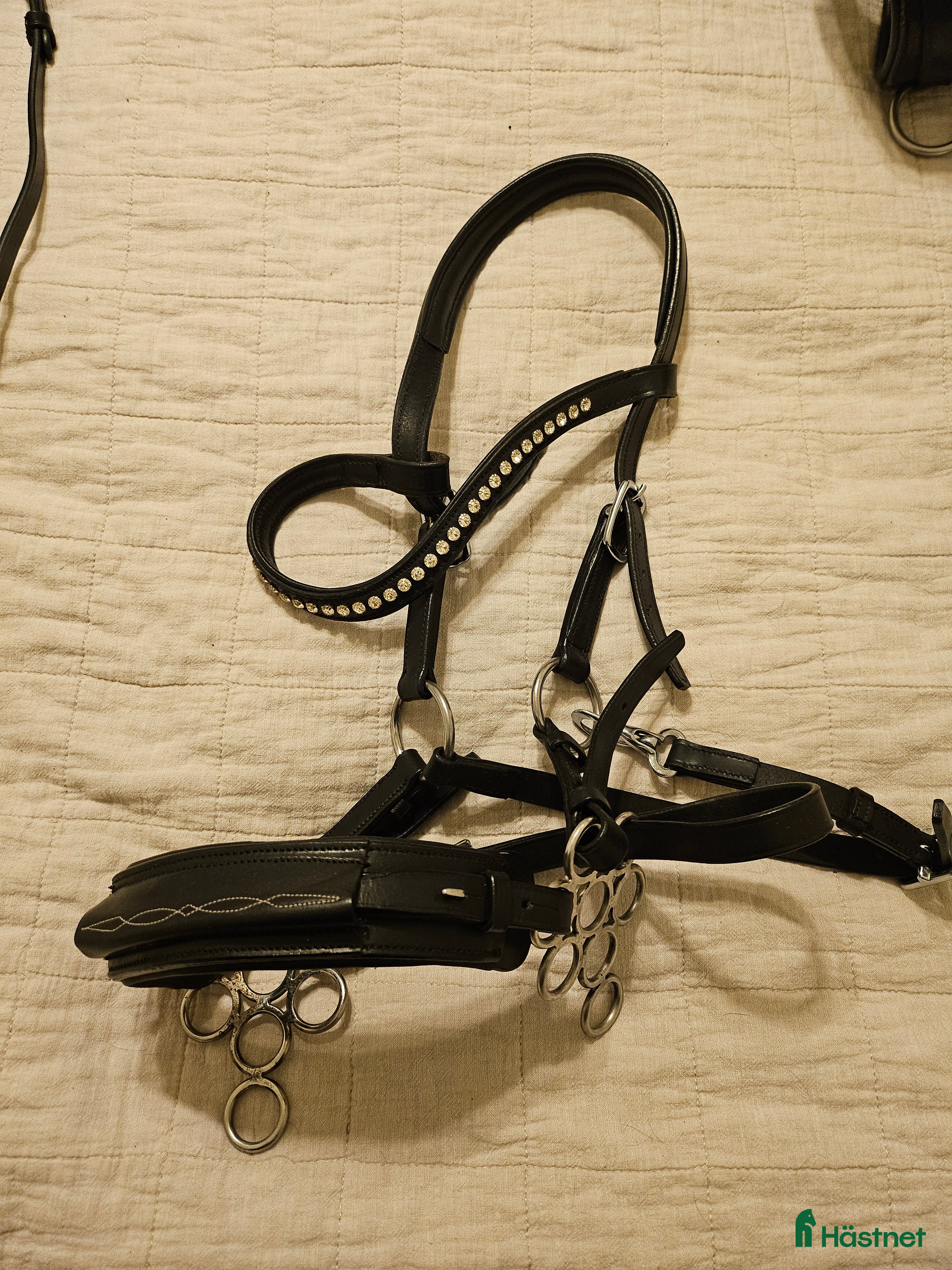 Träns hästutrustning till salu: Hackampre F.R.A i Karlskrona - Annons 4